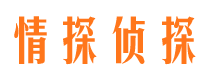 钦南侦探公司